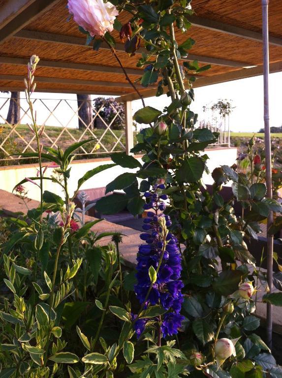 Azienda Agrituristica Bellavista Villa Montespertoli Ngoại thất bức ảnh